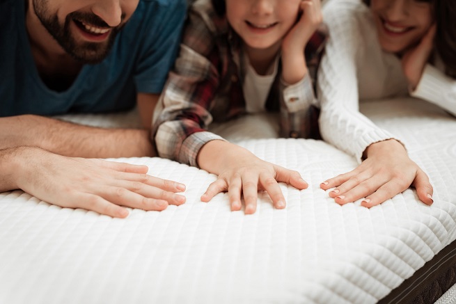 Materasso Interno - Componenti per Allergia agli Acari Polvere